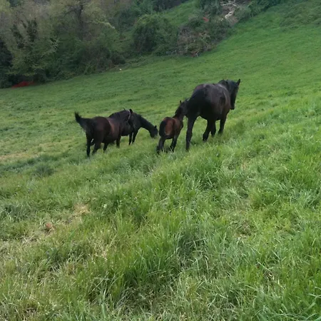 La Cittadella Dei Monti Sibillini Landhuis *