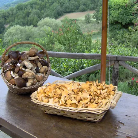 La Cittadella Dei Monti Sibillini Landhuis