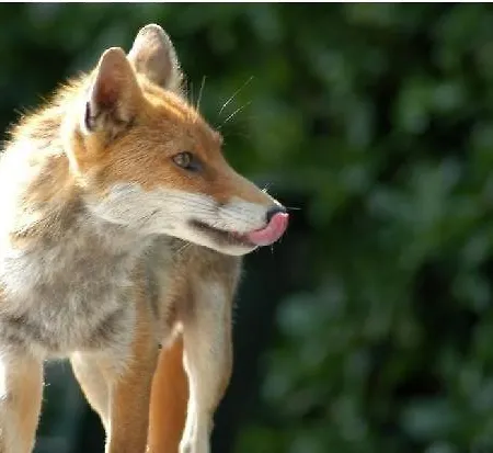 Landhuis La Cittadella Dei Monti Sibillini Montemonaco